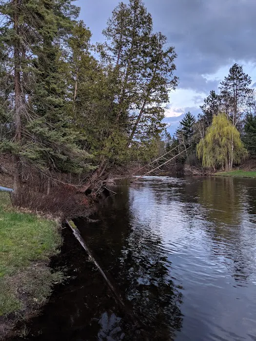 Manistee River Bridge State Forest Campground Picture 6