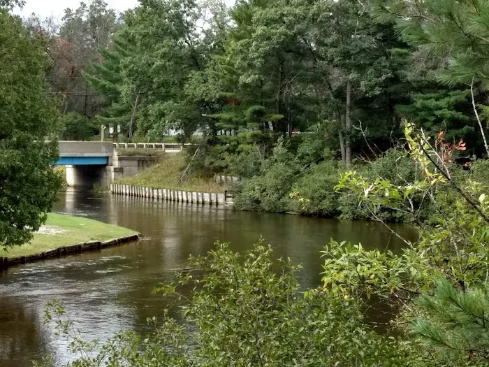 Manistee River Bridge State Forest Campground Picture 8