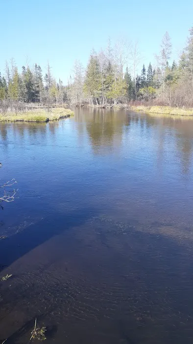 Upper Manistee River State Forest Campground Picture 2