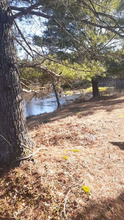 Upper Manistee River State Forest Campground Picture 5