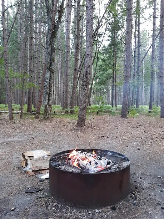 Upper Manistee River State Forest Campground Picture 6
