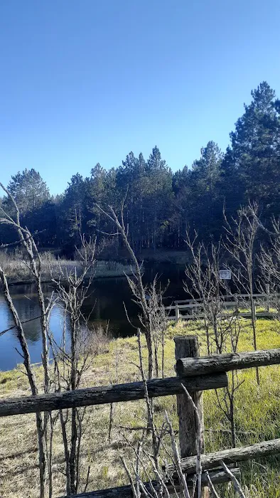 Upper Manistee River State Forest Campground Picture 10
