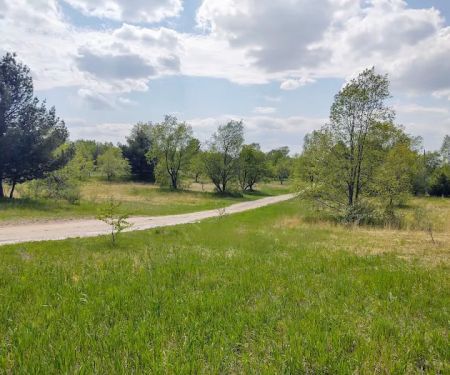 OffBeat Acres - Camp Chill AF!