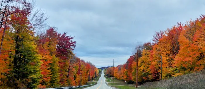 OffBeat Acres - Camp Chill AF! Picture 2