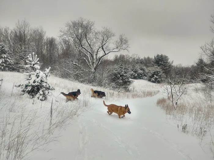 OffBeat Acres - Camp Chill AF! Picture 4