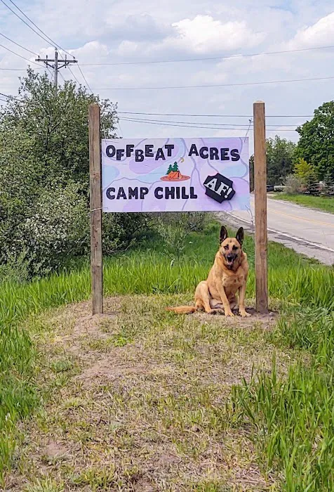 OffBeat Acres - Camp Chill AF! Picture 6