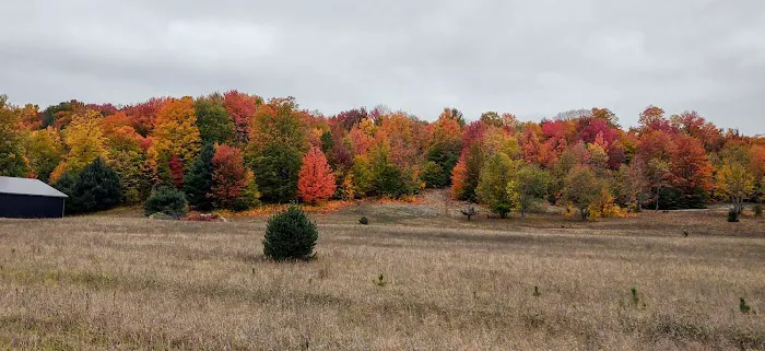 OffBeat Acres - Camp Chill AF! Picture 8