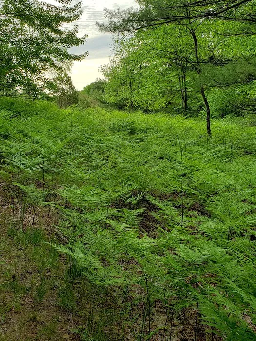 Kalkaska RV Park & Campground Picture 4