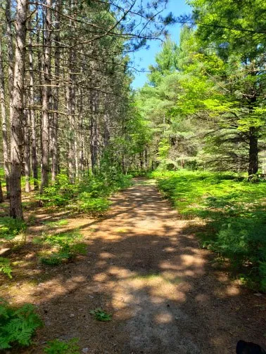 Kalkaska RV Park & Campground Picture 8