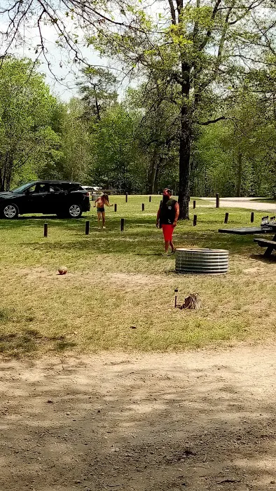 Muskrat Lake State Forest Campground Picture 3