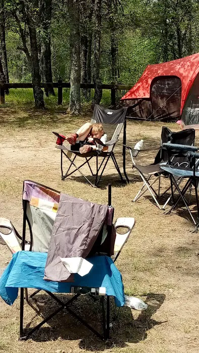 Muskrat Lake State Forest Campground Picture 6