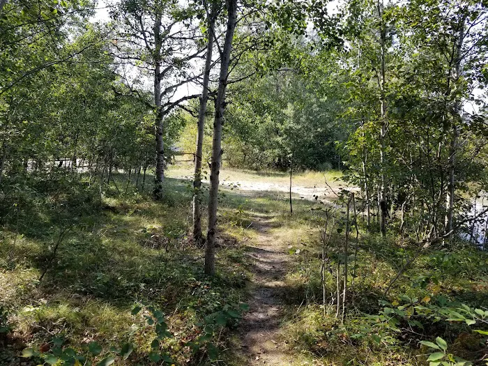 Muskrat Lake State Forest Campground Picture 5