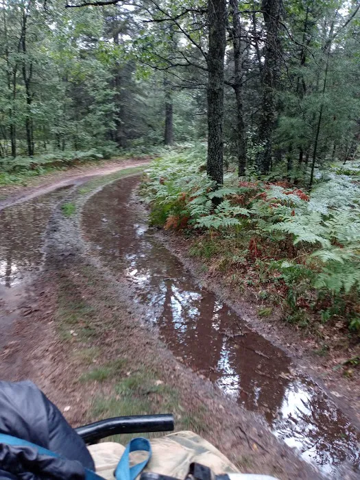 Cathedral Pines Campground Picture 8