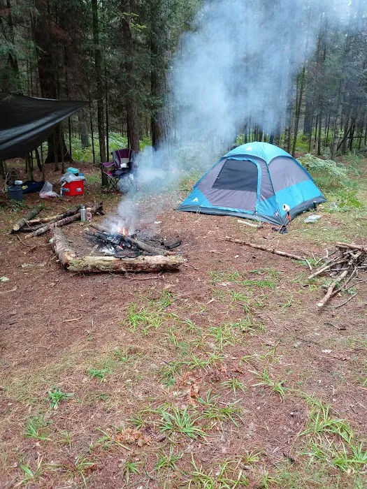 Cathedral Pines Campground Picture 10