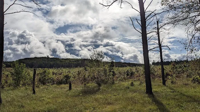 McKinley Trail Camp for the Shore to Shore Horseback and Hiking Trail Picture 1