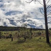 McKinley Trail Camp for the Shore to Shore Horseback and Hiking Trail ico