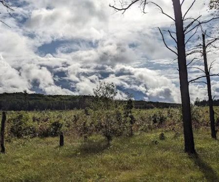 McKinley Trail Camp for the Shore to Shore Horseback and Hiking Trail