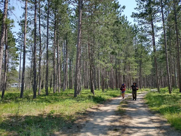 McKinley Trail Camp for the Shore to Shore Horseback and Hiking Trail Picture 2