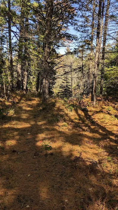 McKinley Trail Camp for the Shore to Shore Horseback and Hiking Trail Picture 5