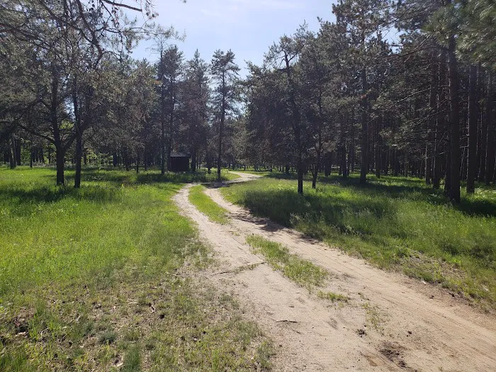 McKinley Trail Camp for the Shore to Shore Horseback and Hiking Trail Picture 9