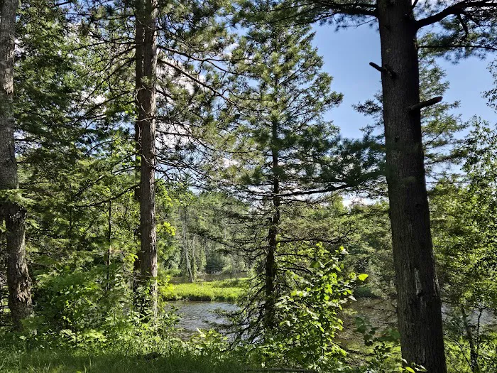 Ausable River Camping 011D Picture 3