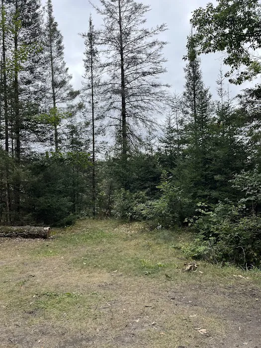 Ausable River Camping 08W Picture 6