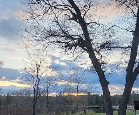 Campsite 6D AuSable River Rustic