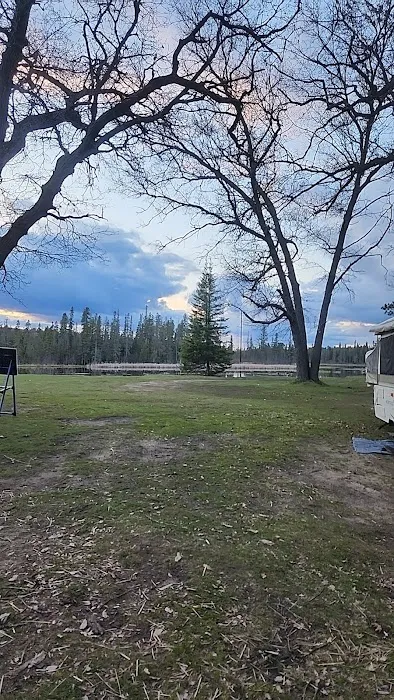 Campsite 6D AuSable River Rustic Picture 4