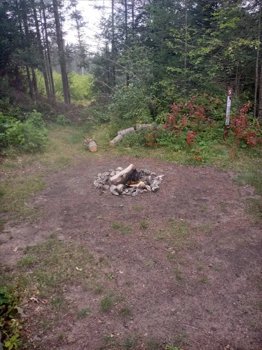 Campsite 5C Ausable River Camping Picture 1