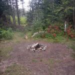 Campsite 5C Ausable River Camping
