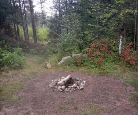 Campsite 5C Ausable River Camping