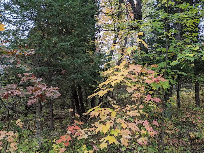 Gabions Campground and Day Use Picture 2