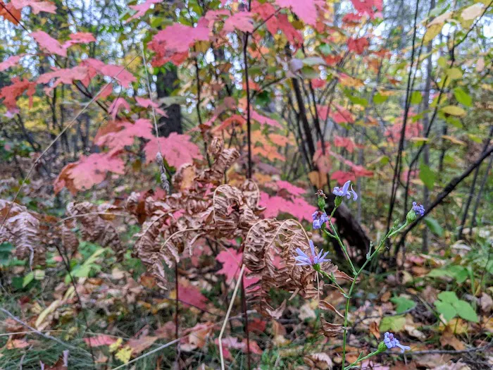 Gabions Campground and Day Use Picture 5