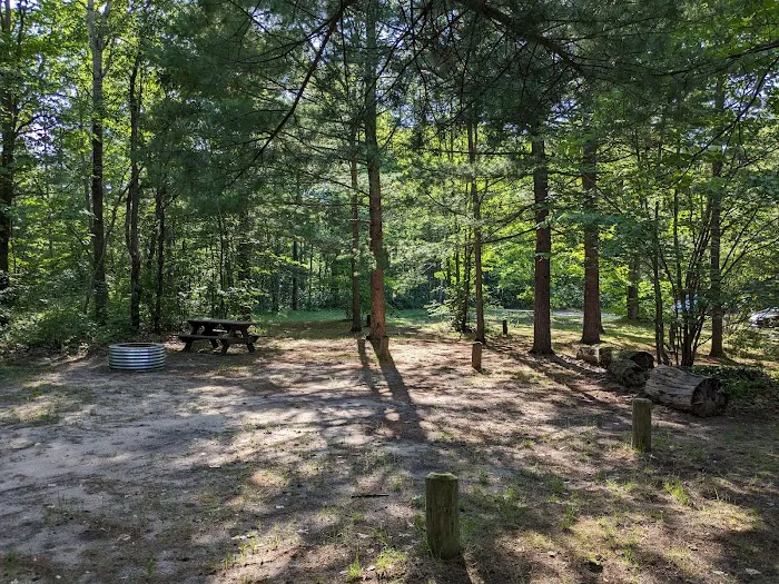Lake Marjory State Forest Campground Picture 1