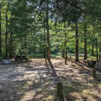 Lake Marjory State Forest Campground ico
