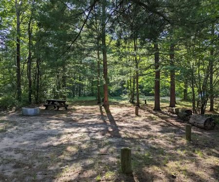 Lake Marjory State Forest Campground