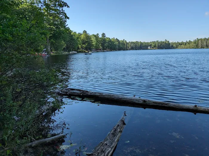 Lake Marjory State Forest Campground Picture 3