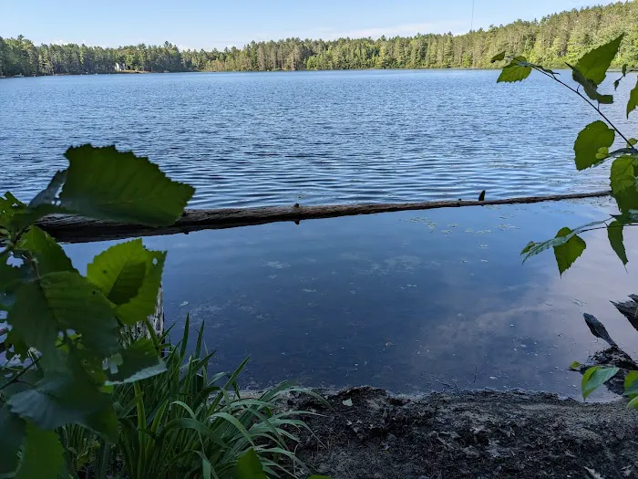Lake Marjory State Forest Campground Picture 7