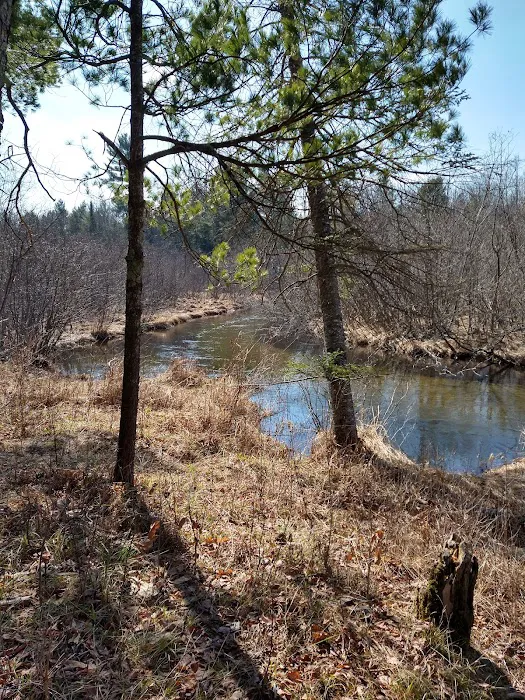 Hopkins Creek Trail Campground Picture 1