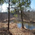 Hopkins Creek Trail Campground