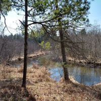 Hopkins Creek Trail Campground ico