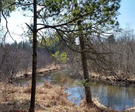 Hopkins Creek Trail Campground