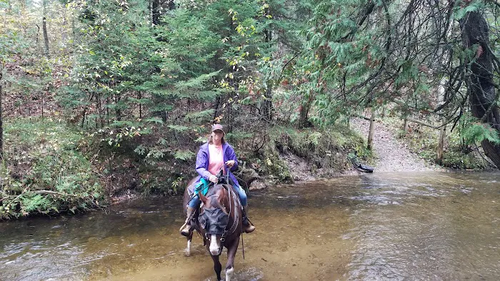 Hopkins Creek Trail Campground Picture 5