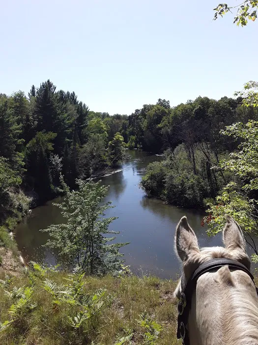 Hopkins Creek Trail Campground Picture 7