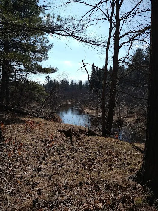 Hopkins Creek Trail Campground Picture 10