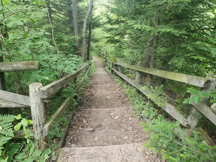 Chase Creek Campground Picture 5