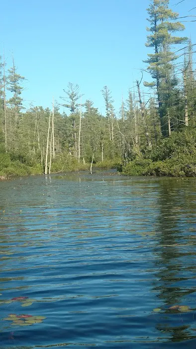 Spring Lake State Forest Campground Picture 1