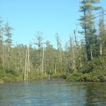 Spring Lake State Forest Campground