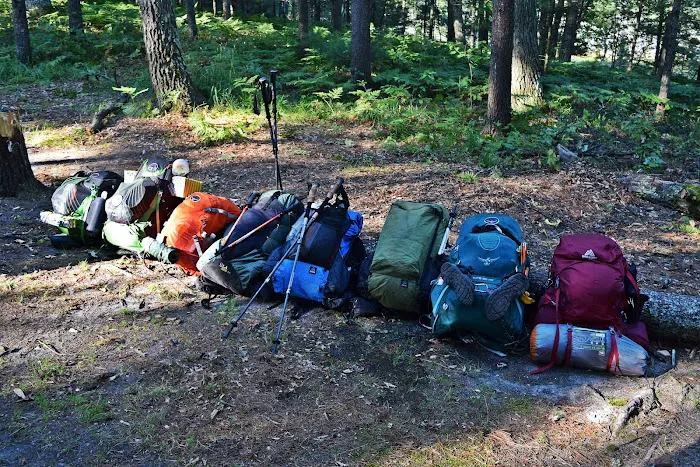 Spring Lake State Forest Campground Picture 6