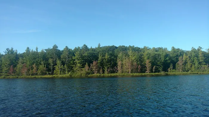 Spring Lake State Forest Campground Picture 4